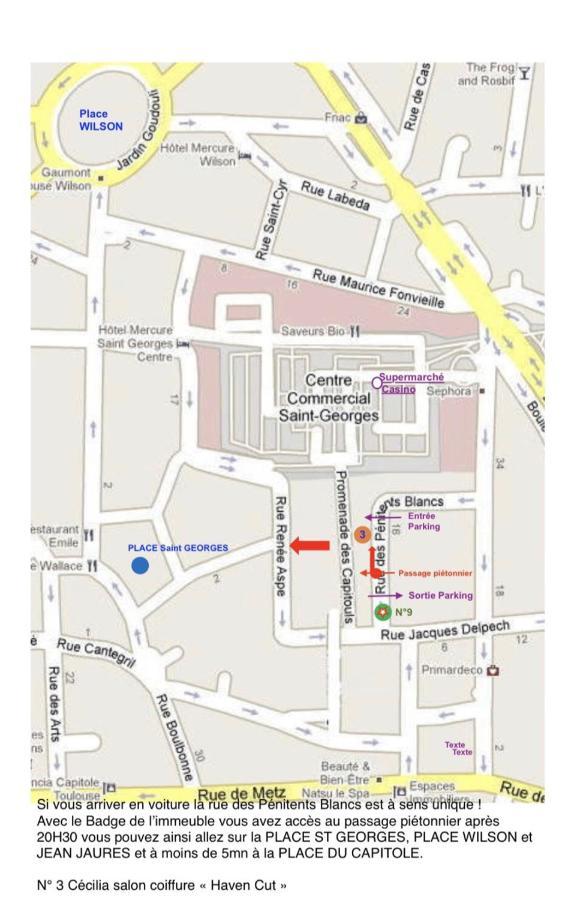Hyper-Centre Historique Avec Possibilite De Reservation Parking Toulouse Exterior photo